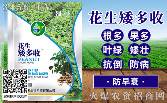 河南省南阳市今日花生价格行情2019-8-7 河南省南阳市今日花生价格行情2019-8-7