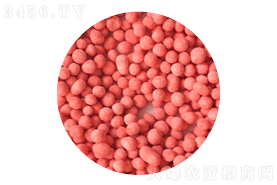 2021-2-5ռطʼ۸鱨