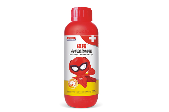2021-11-2ռطʼ۸鱨